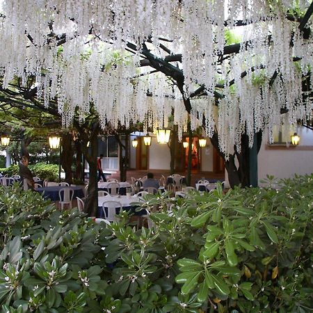 Albergo Ristorante Papa 페스키에라델가르다 외부 사진
