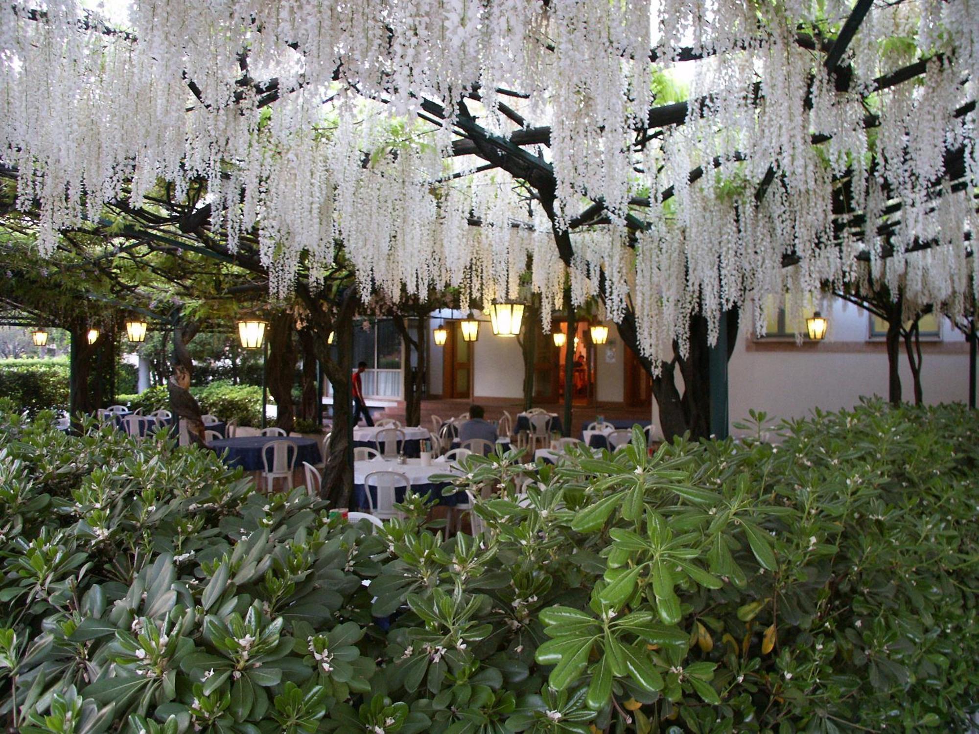 Albergo Ristorante Papa 페스키에라델가르다 외부 사진